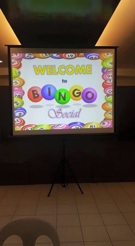Bingo