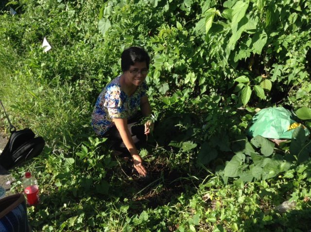 PNA Neem Tree Planting 2016, Bicol