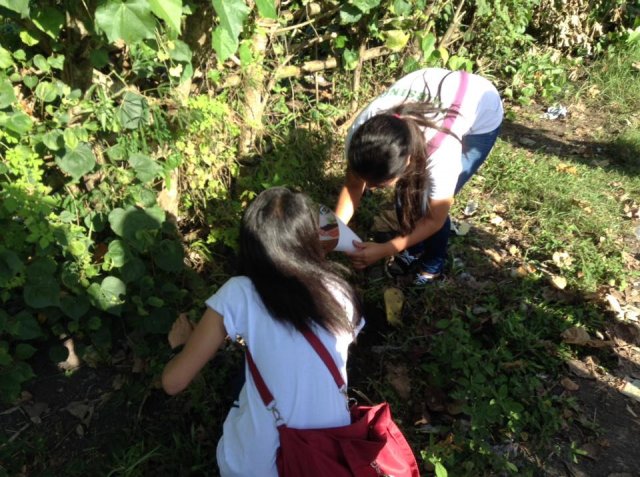 PNA Neem Tree Planting 2016, Bicol