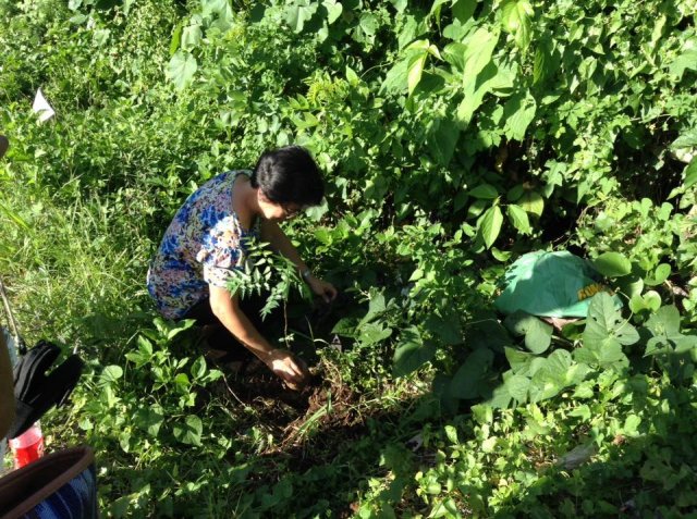 PNA Neem Tree Planting 2016, Bicol