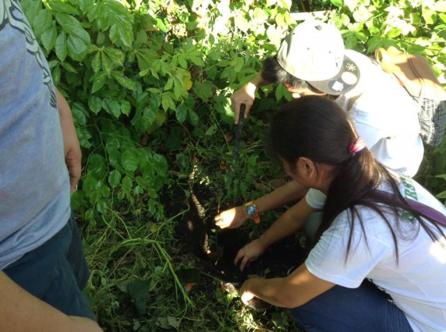 PNA Neem Tree Planting 2016, Bicol