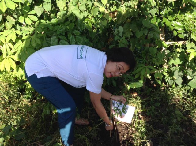 PNA Neem Tree Planting 2016, Bicol
