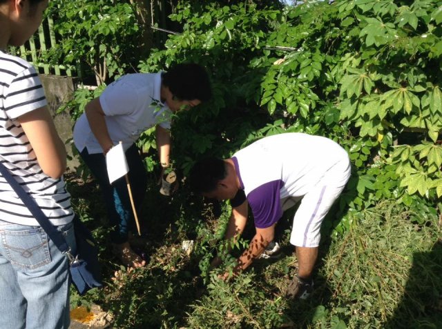 PNA Neem Tree Planting 2016, Bicol