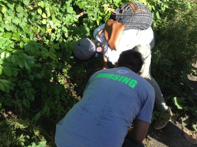PNA Neem Tree Planting 2016, Bicol