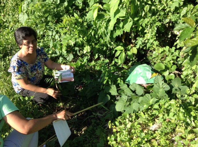 PNA Neem Tree Planting 2016, Bicol