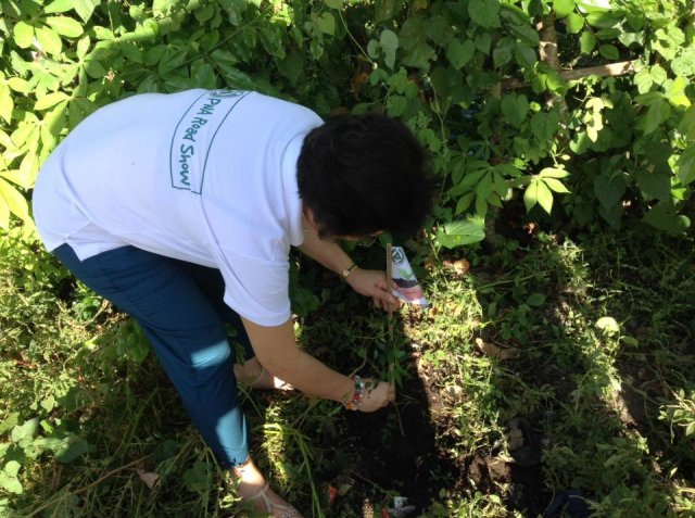 PNA Neem Tree Planting 2016, Bicol