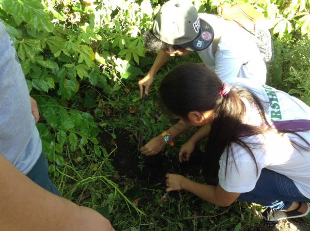 PNA Neem Tree Planting 2016, Bicol